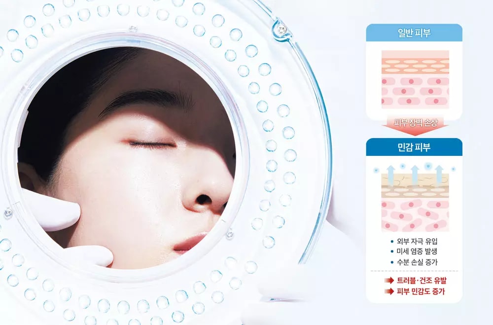 Sensitive Skin That Easily Turns Red and Dry: 3 Key Ingredients for Building the Skin Barrier